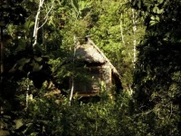 Shimiyacu Amazon Lodge 