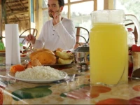 Ecological Jungle Trips & Expeditions Lodge 