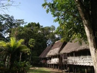Lodge Jungle Wolf Expeditions 