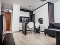 Executive Suites Lewandowskiego 
