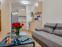 Ryska Home 