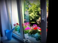 Apartamenty przy Ratuszu 