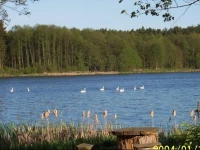Agroturystyka nad jeziorem SopieЕ„ 