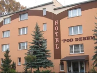 Hotel Pod DД™bem 