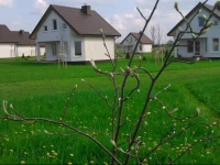 OЕ›rodek Wypoczynkowy SpЕ‚awik 