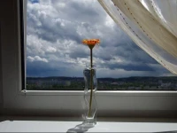 Apartament ChЕ‚opska 7 