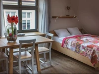 Apartament GdaЕ„ski GrГіd 