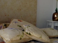 Apartament Primore 