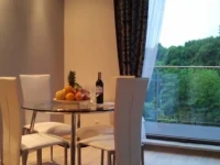 Apartament przy Focha 