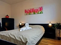 Apartamenty Sun&Snow Marina Primore 