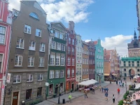 Black Swan House 