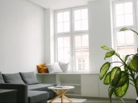 Blue Buddy Apartments - Dluga View 