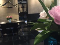 Medusa Boutique Hotel 
