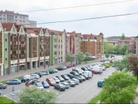 Trefl Apartment 