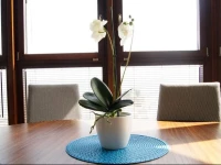 Apartament Adromeda II 