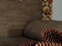 Apartament Orzechowy 