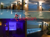 Quality Silesian Hotel 