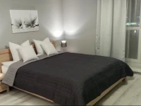 Magnolia Apartamenty 