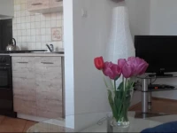 Apartament MaЕ‚y Rynek 