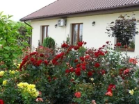 Pensjonat Magnolia Hotel i Restauracja 