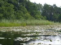 Domek Letniskowy GraЕјyna 