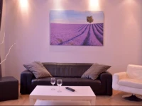 Apartament Algoritmo 