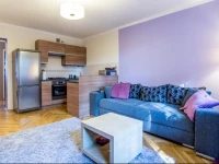 Apartament DД™bnicki 