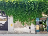 Apartament Miodowa 