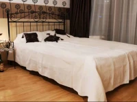Apartment Kopernika in City Center 