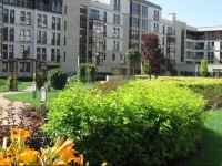 Garden Corner 