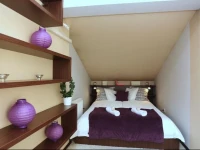 KrakowLiving Rowska Apartments 