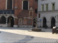 Mariacki 