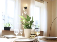 Studio Krakowska 