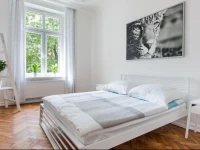 Sunny Old Town Apartments 