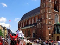 SzczepaЕ„ska 3 Apartmenthouse 