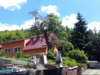 Dworek LeЕ›ny 