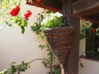 Fregata 