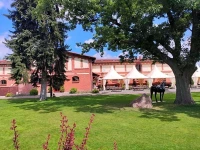Hotel Sandro Silver 