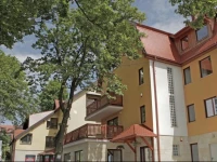 Bursztynowe Buki 