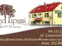 Pod Lipami 