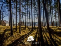 Domki Plaja Lubiatowo 
