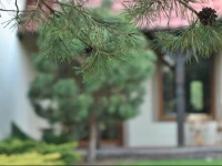 Apartament WITA 