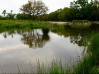 Agroturystyka Domek MЕ‚ynarza 