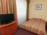 Hotel WЕ‚Гіkniarz 