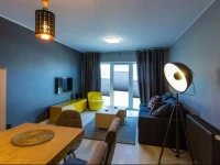 Apartment Wenecja Grey 