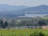 Villa Rychwald 1 
