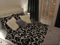 City House Apartamenty - Silver 