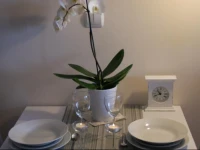 LM Apartamenty Bandurskiego 