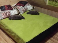 Pokoje GoЕ›cinne Kacper 