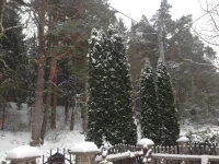 Noclegi Pod Borkiem 